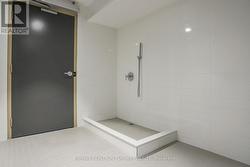 Condo Building includes Pet Spa! -