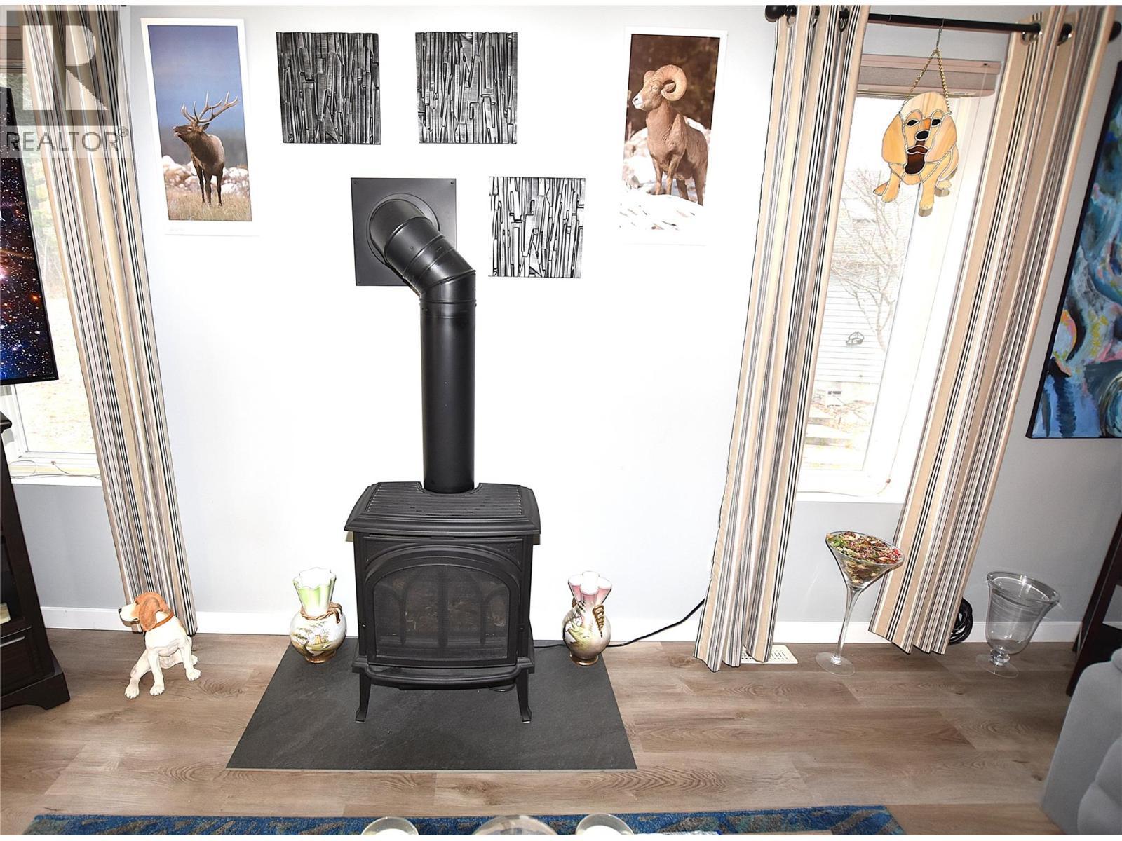 propane fireplace - 145 Falcon Avenue, Vernon, BC - Indoor