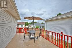 Deck off the kitchen view 1 -
