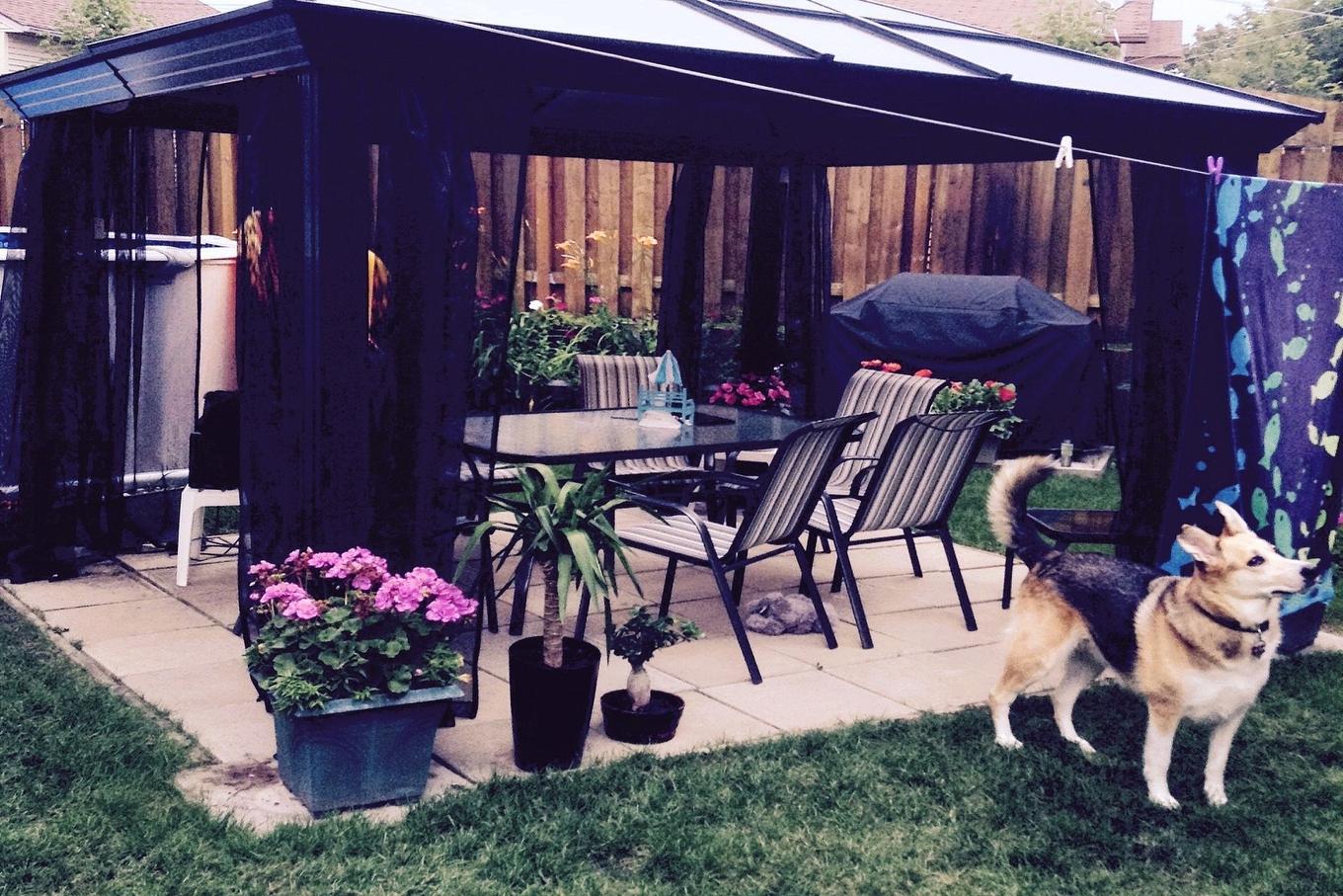 Backyard - 133 - 135 Av. De Georgia Crescent, Pointe-Claire, QC -