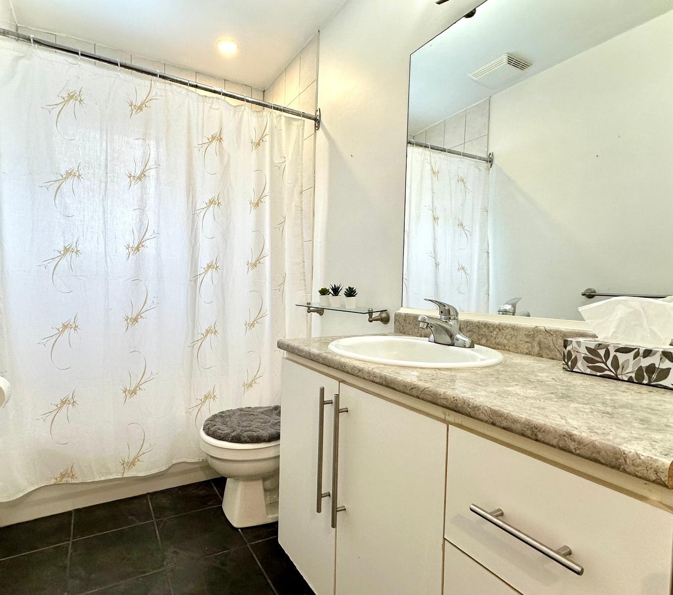 Bathroom - 215 Av. Allard, Dorval, QC - Indoor Photo Showing Bathroom