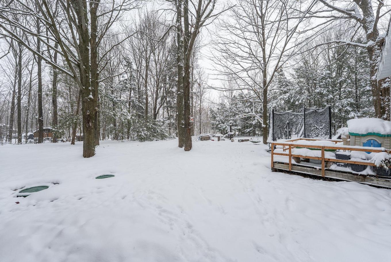 Cour - 103 Rue Yvon, Saint-Alphonse-De-Granby, QC - Outdoor With View