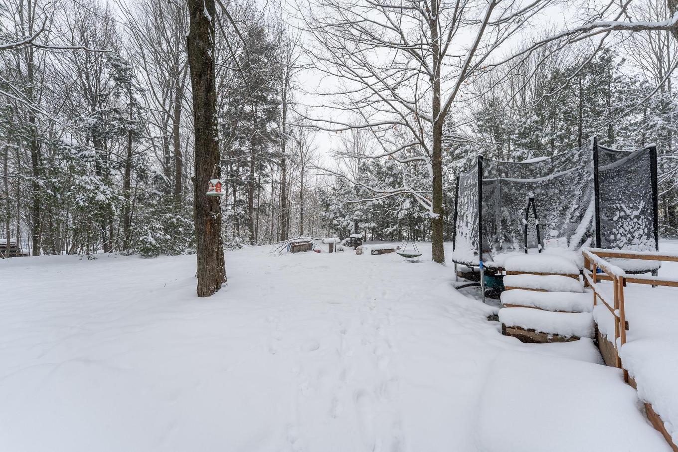 Cour - 103 Rue Yvon, Saint-Alphonse-De-Granby, QC - Outdoor