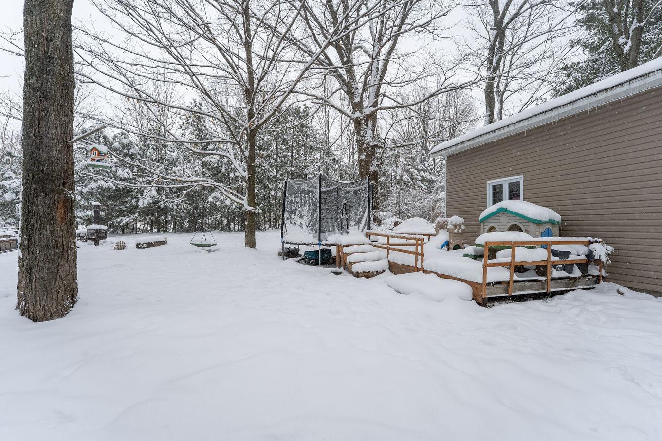 Cour - 103 Rue Yvon, Saint-Alphonse-De-Granby, QC - Outdoor