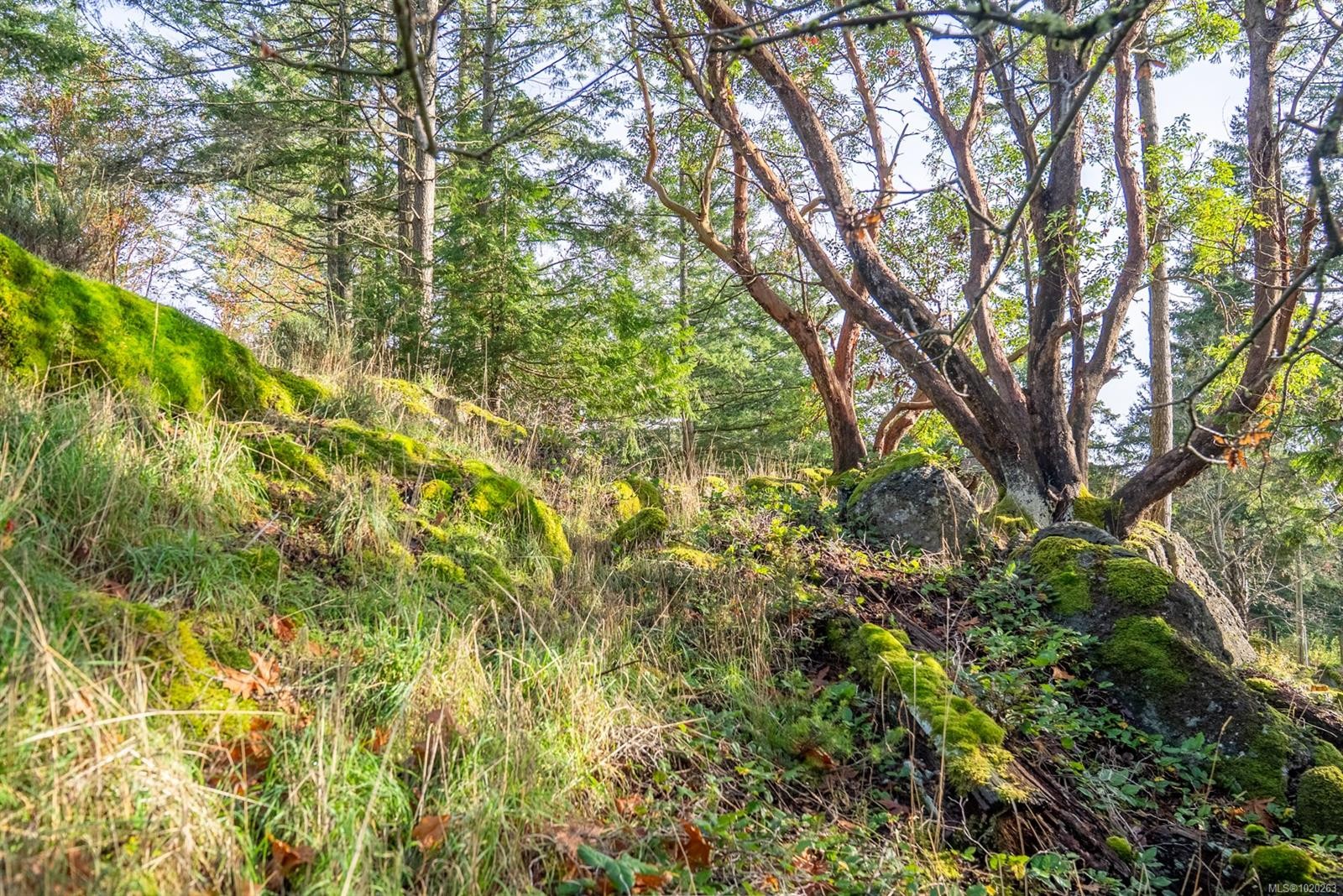 7904 Plumper Way, Pender Island, BC