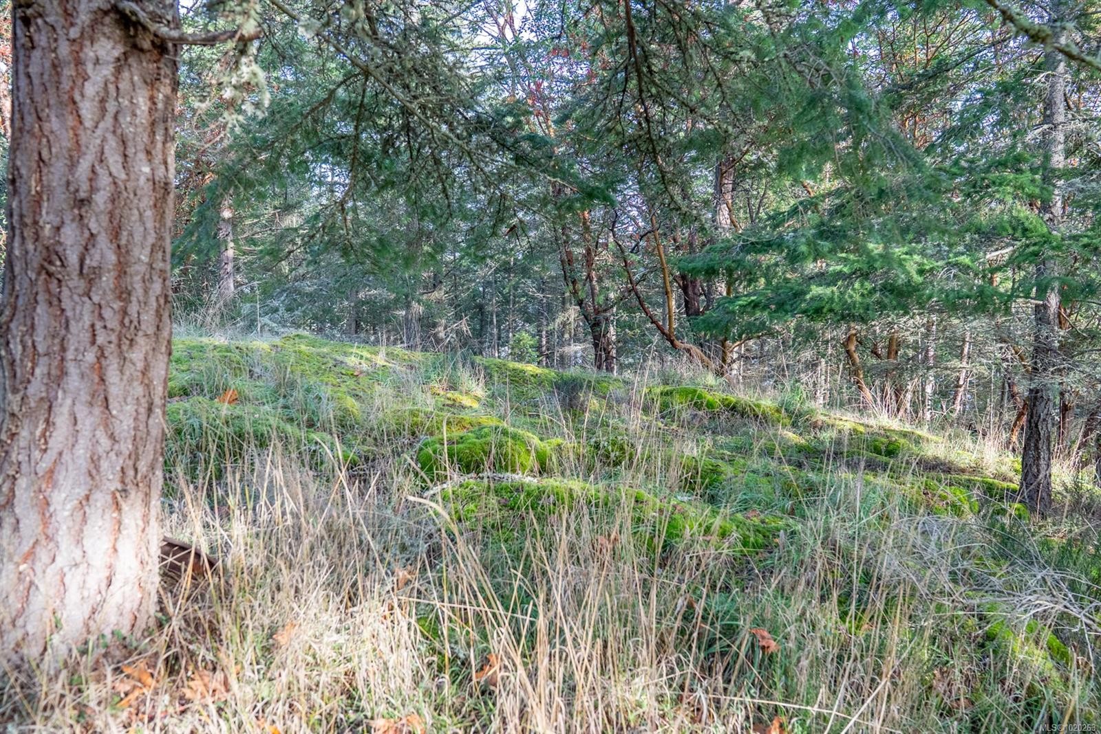 7904 Plumper Way, Pender Island, BC