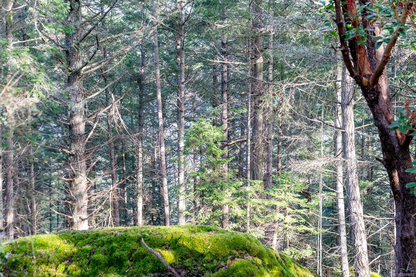 7904 Plumper Way, Pender Island, BC