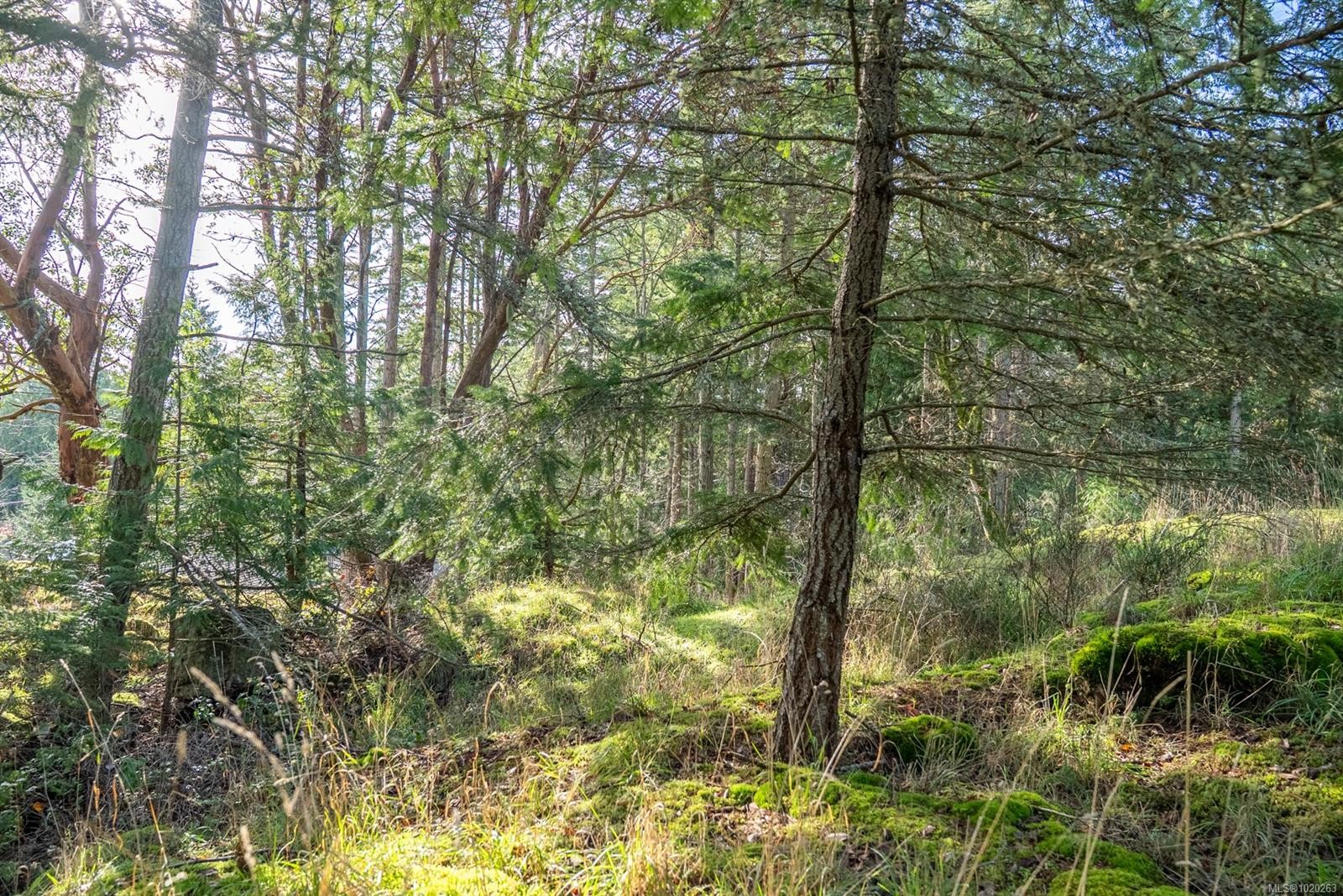 7904 Plumper Way, Pender Island, BC