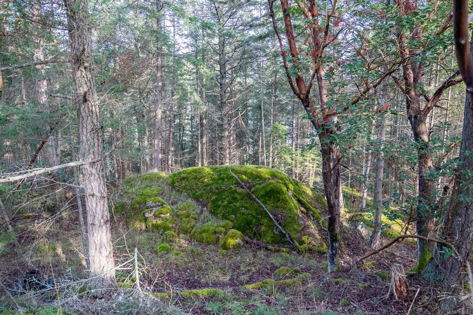 7904 Plumper Way, Pender Island, BC