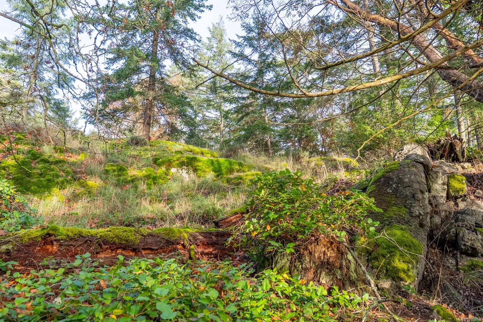 7904 Plumper Way, Pender Island, BC