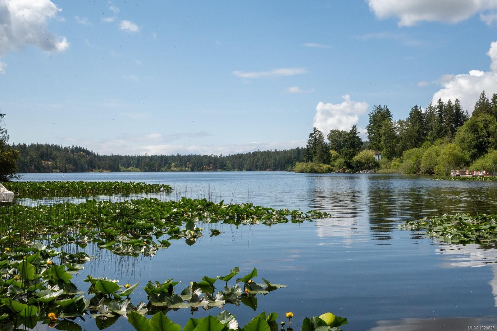 140 Petworth Dr, Saanich, BC