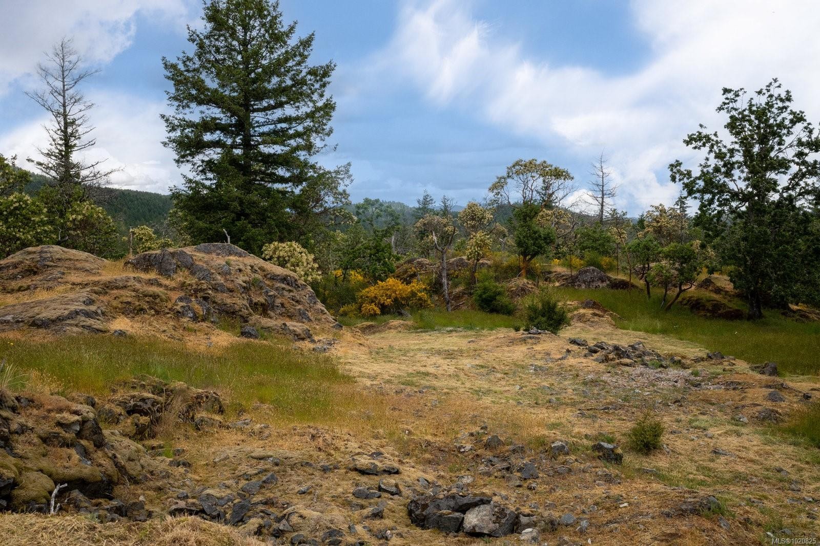 140 Petworth Dr, Saanich, BC