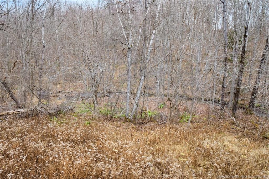 71 Chestnut St, Minto, NB