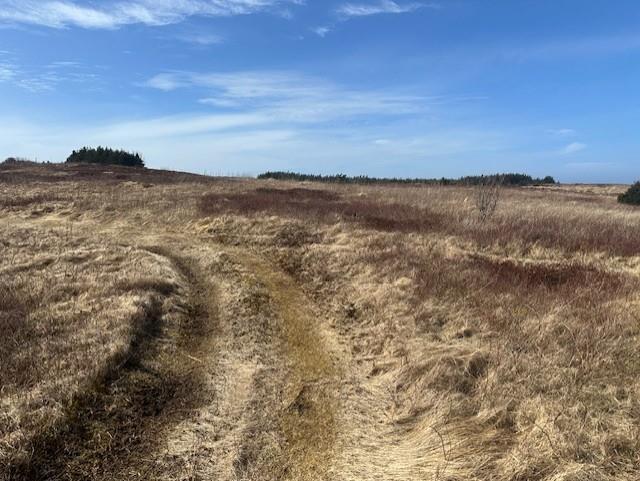 22-24 Lance Cove Road, St. Mary'S, NL