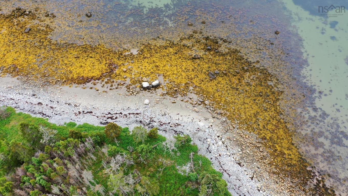 Shore Road, North East Harbour, NS