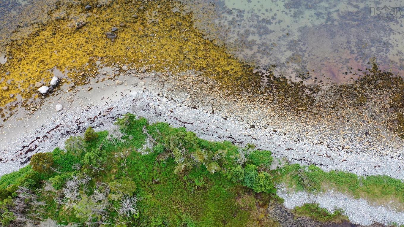 Shore Road, North East Harbour, NS