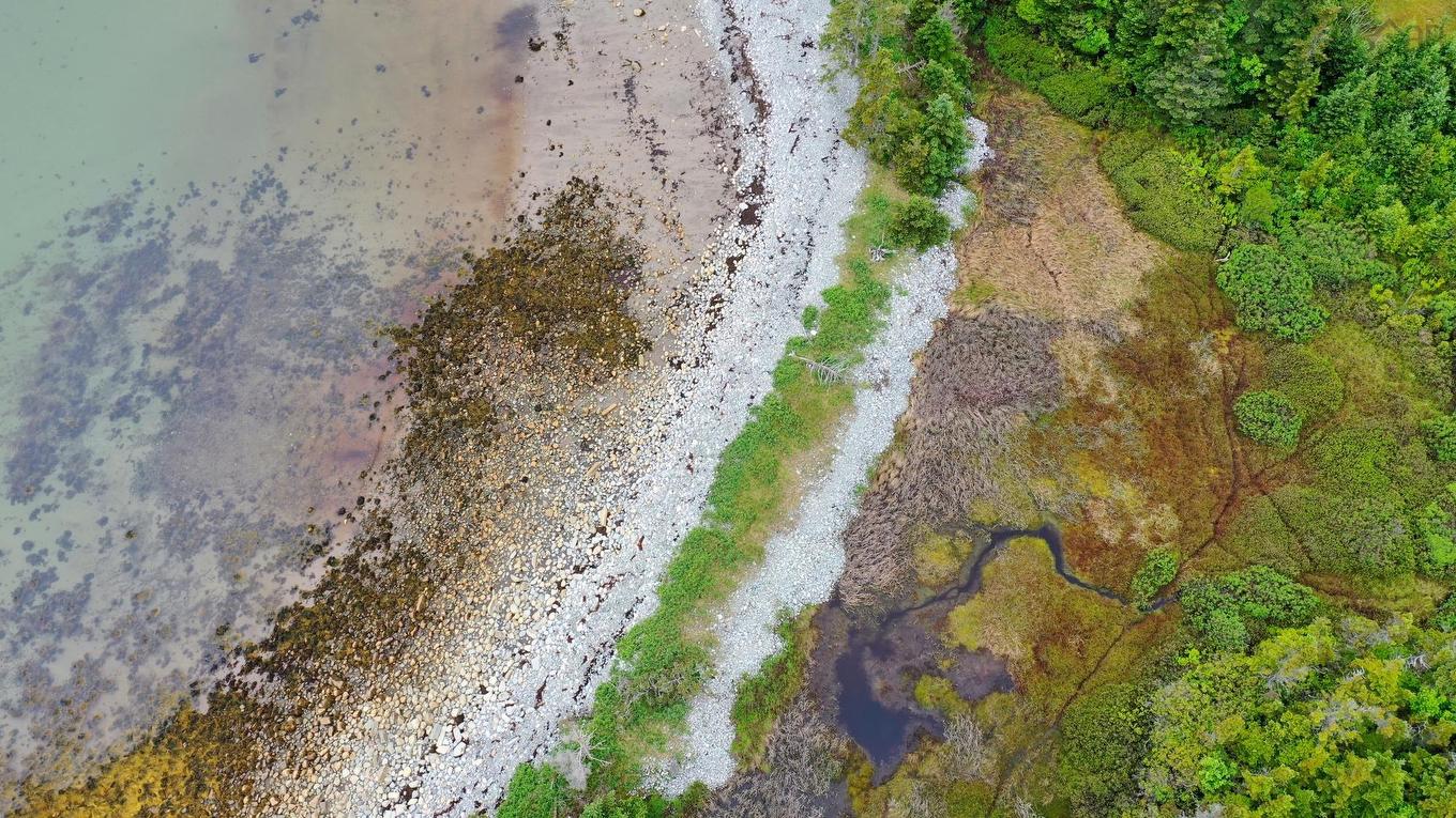 Shore Road, North East Harbour, NS