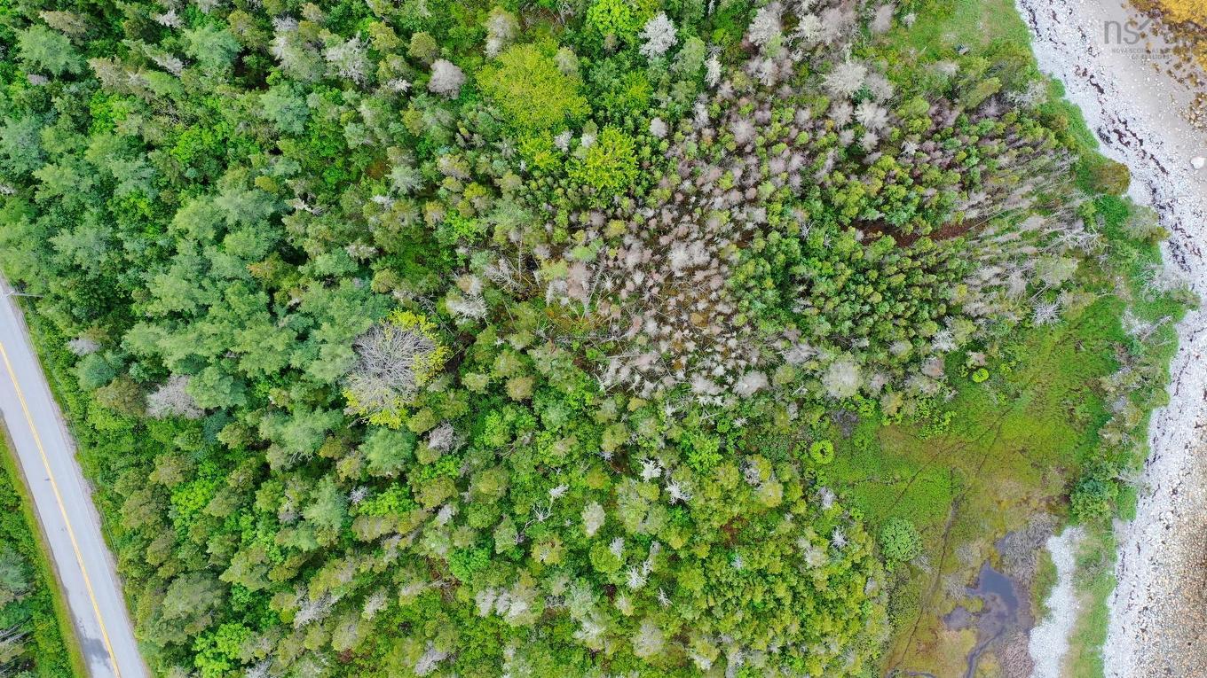 Shore Road, North East Harbour, NS