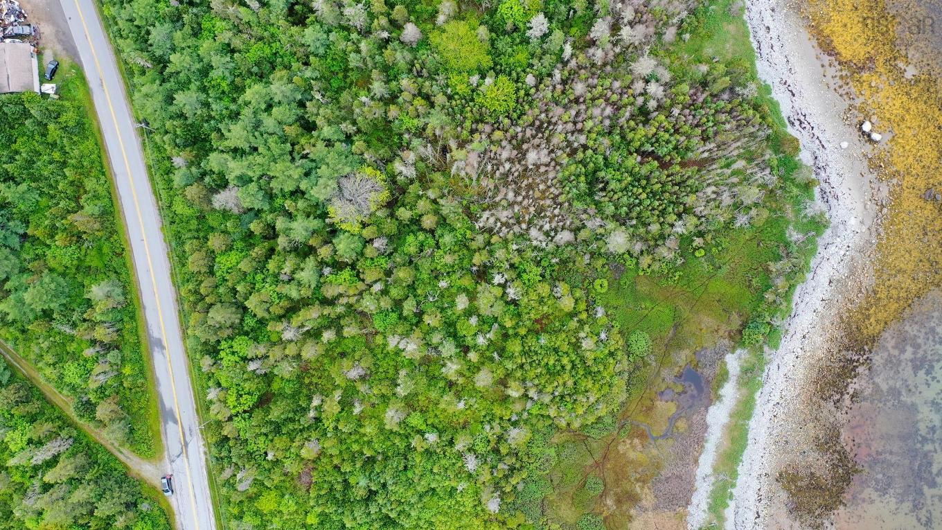 Shore Road, North East Harbour, NS