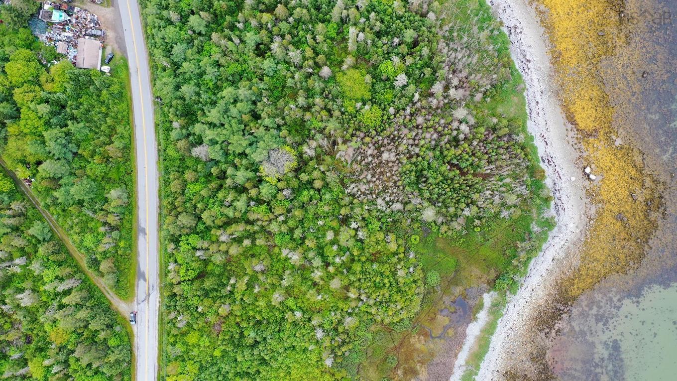 Shore Road, North East Harbour, NS