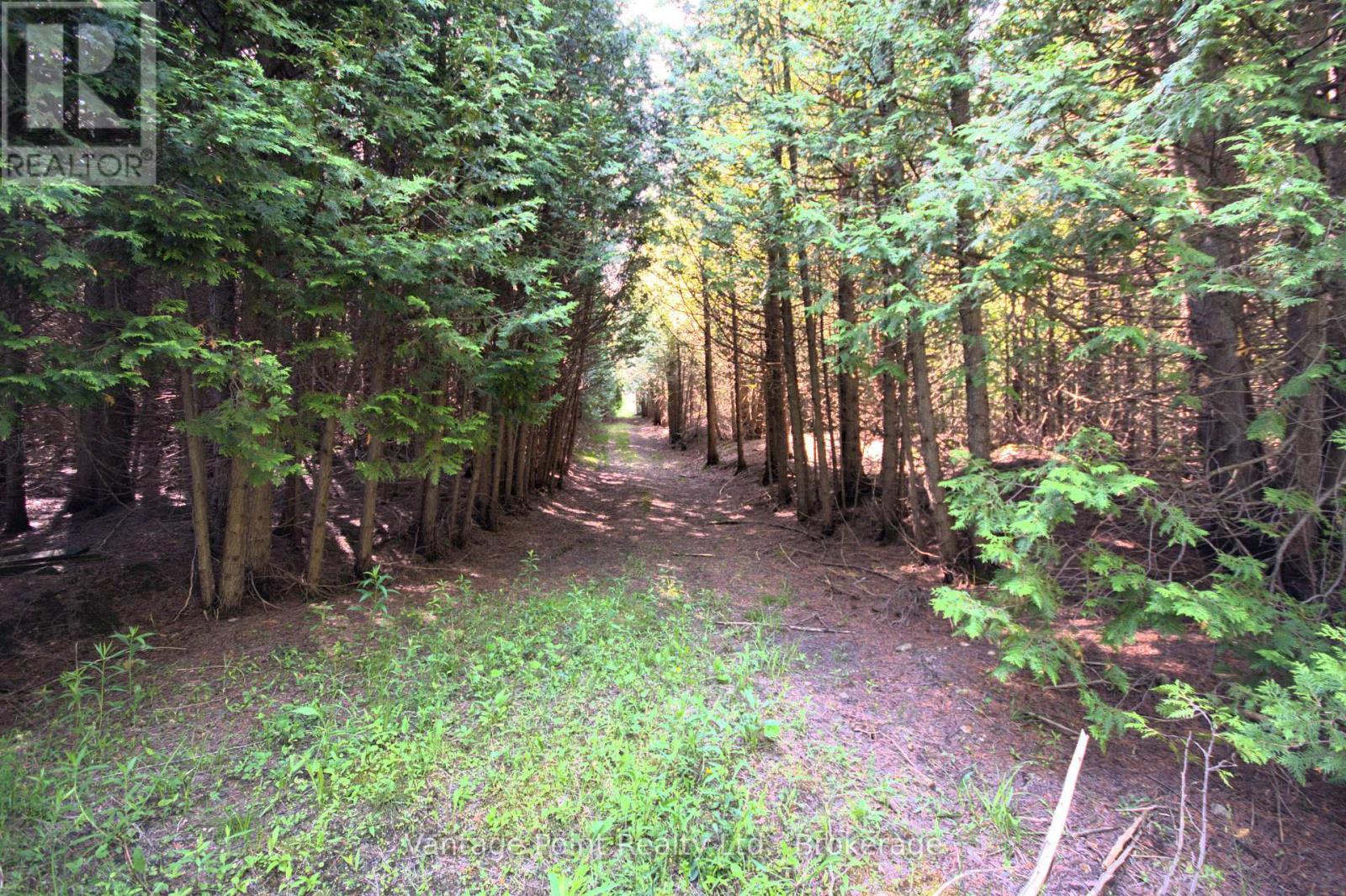 775381 10 Highway N, Chatsworth, ON