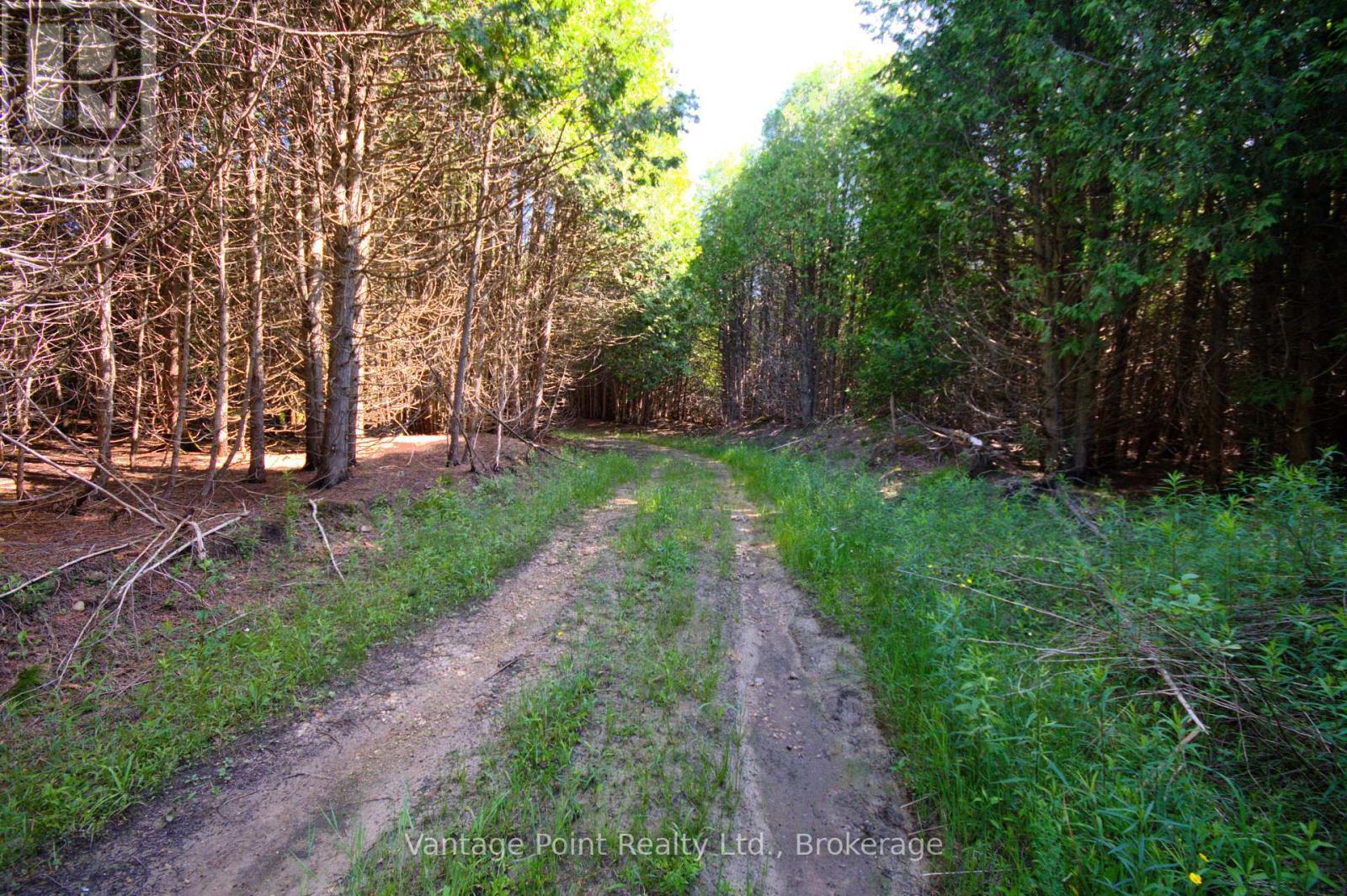 775381 10 Highway N, Chatsworth, ON