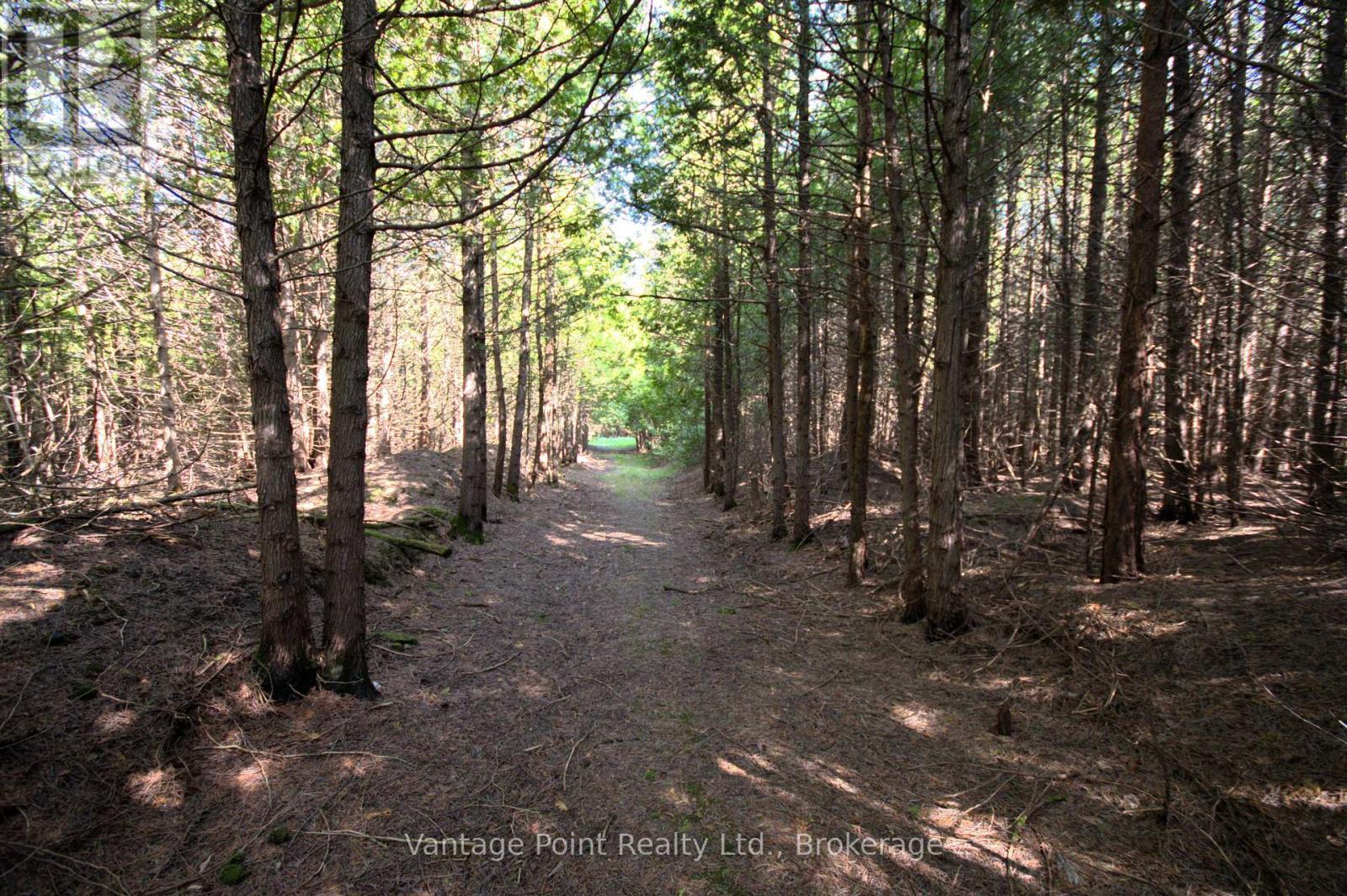 775381 10 Highway N, Chatsworth, ON