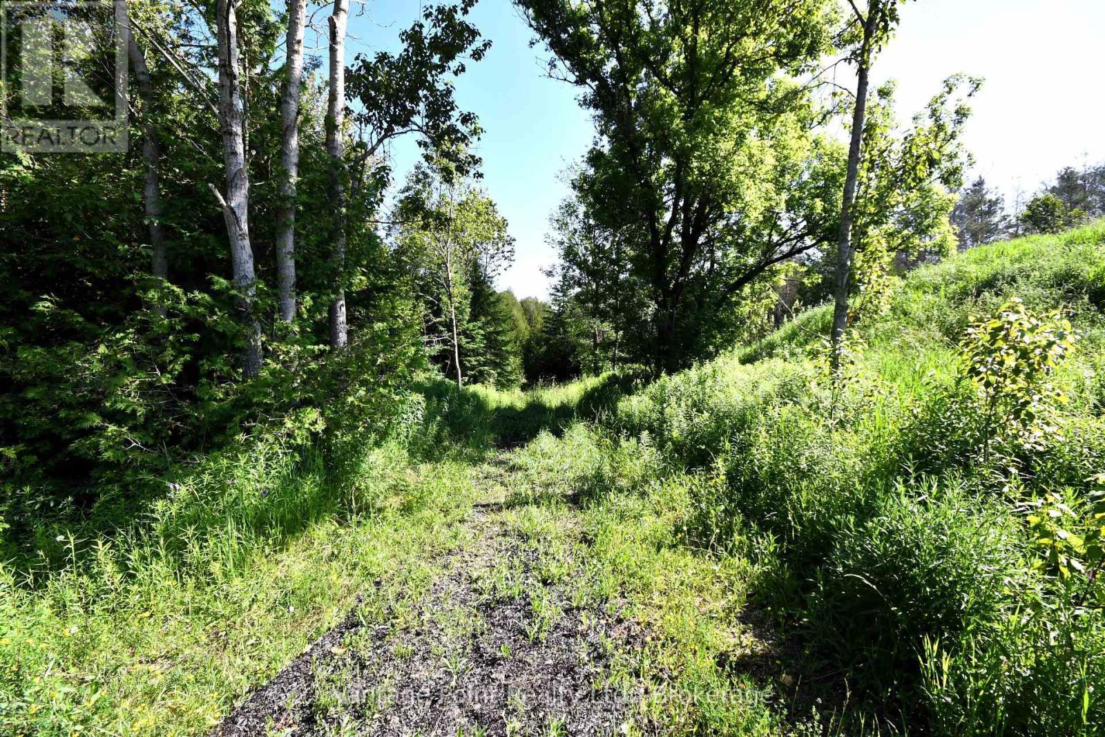 775381 10 Highway N, Chatsworth, ON