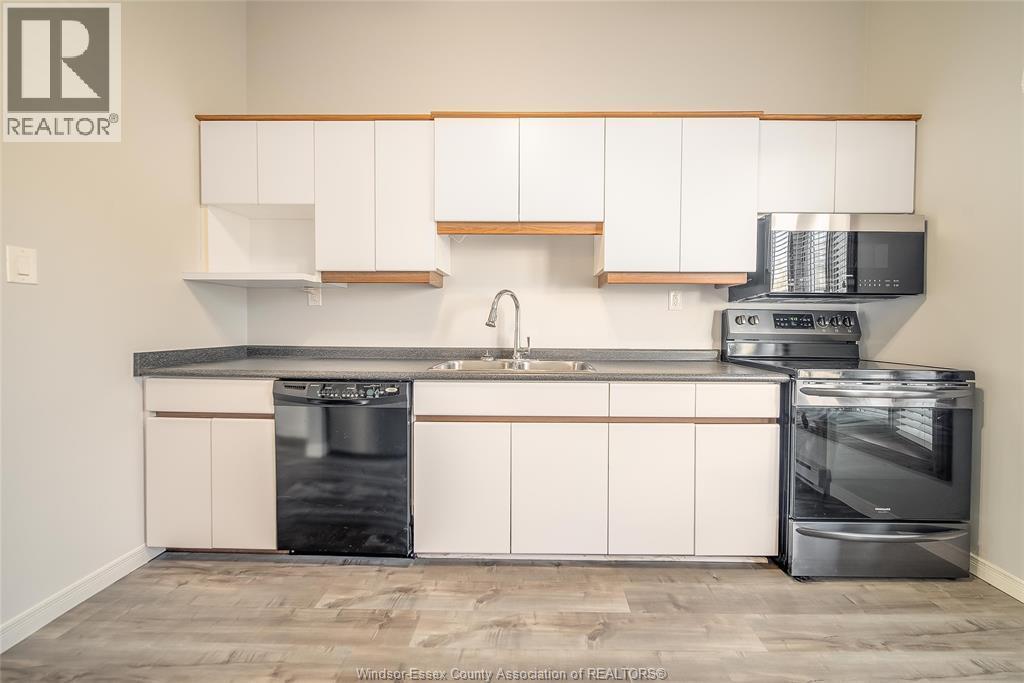 1531 Bayswater Crescent, Windsor, ON - Indoor Photo Showing Kitchen With Double Sink