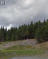 612C Ville Marie Drive Marystown, NL A0E 2M0