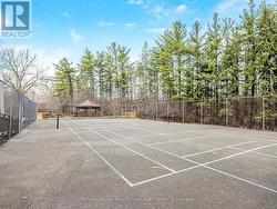 Tennis Court and Pickleball -