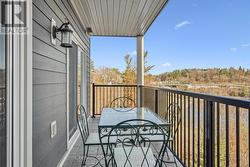 Lovely views to Silver Bridge and the Falls! -