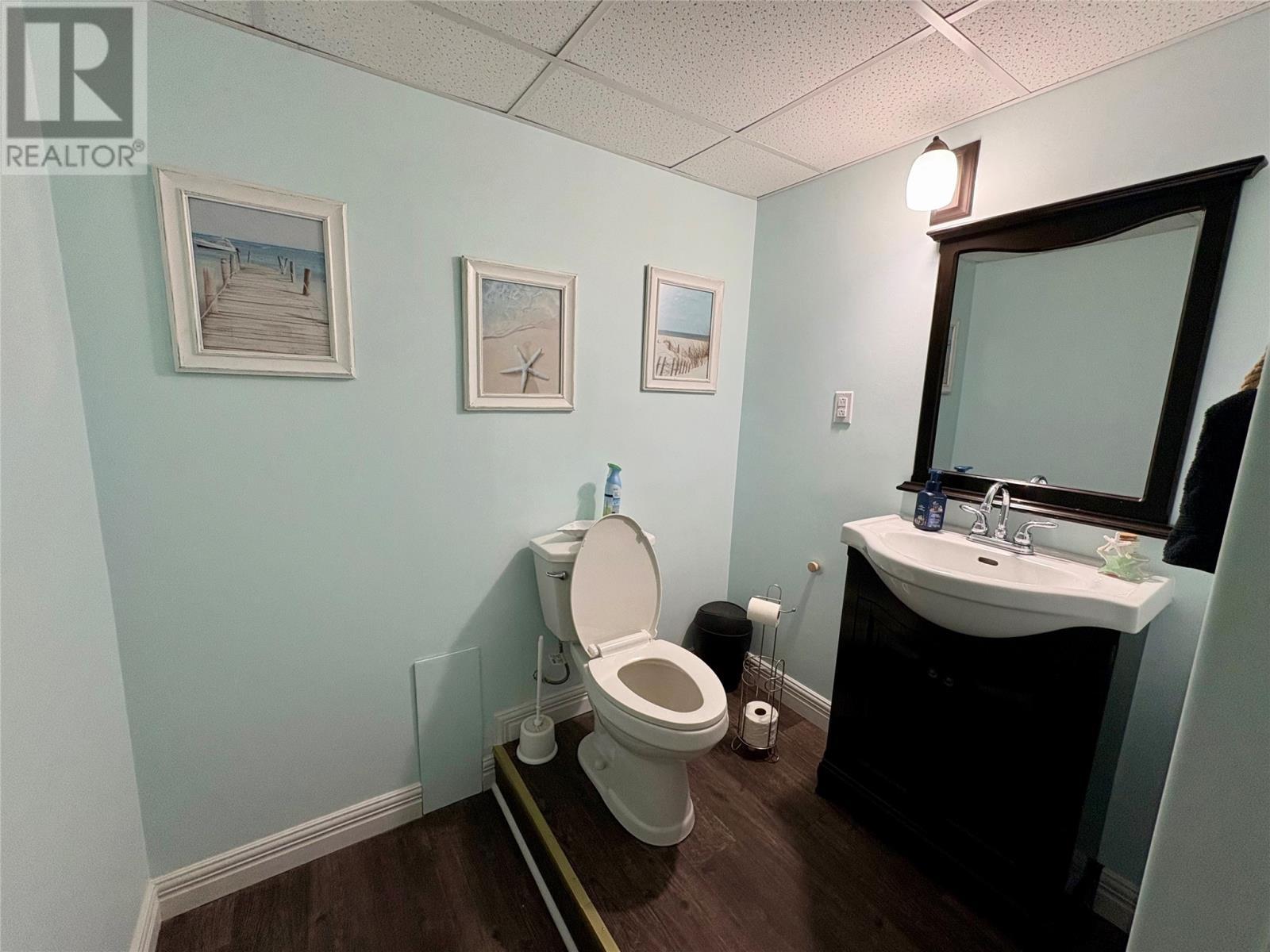 50 Parkwood Drive, Hare Bay, NL - Indoor Photo Showing Bathroom