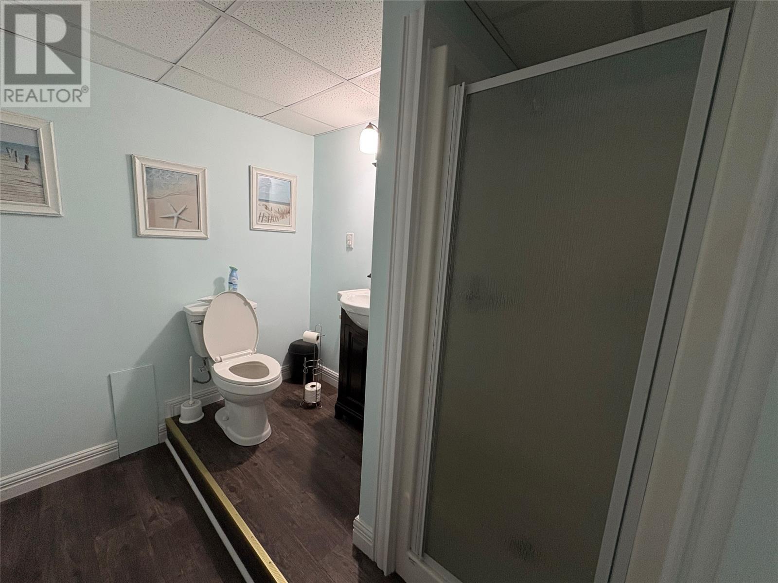 50 Parkwood Drive, Hare Bay, NL - Indoor Photo Showing Bathroom