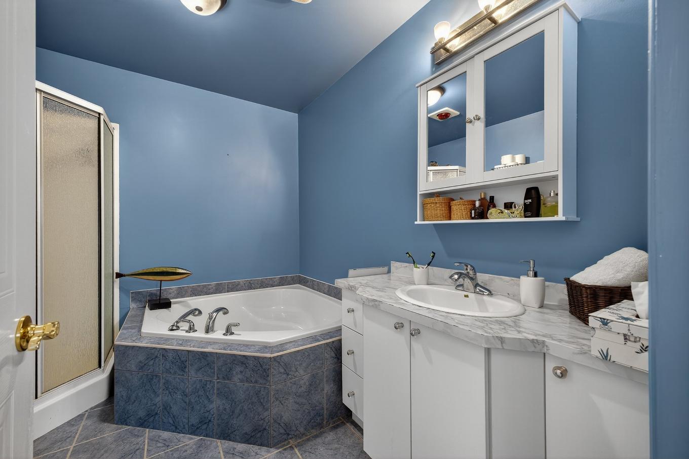 Salle de bains - 1166 Rue Notre-Dame-De-Fatima, Laval (Pont-Viau), QC - Indoor Photo Showing Bathroom