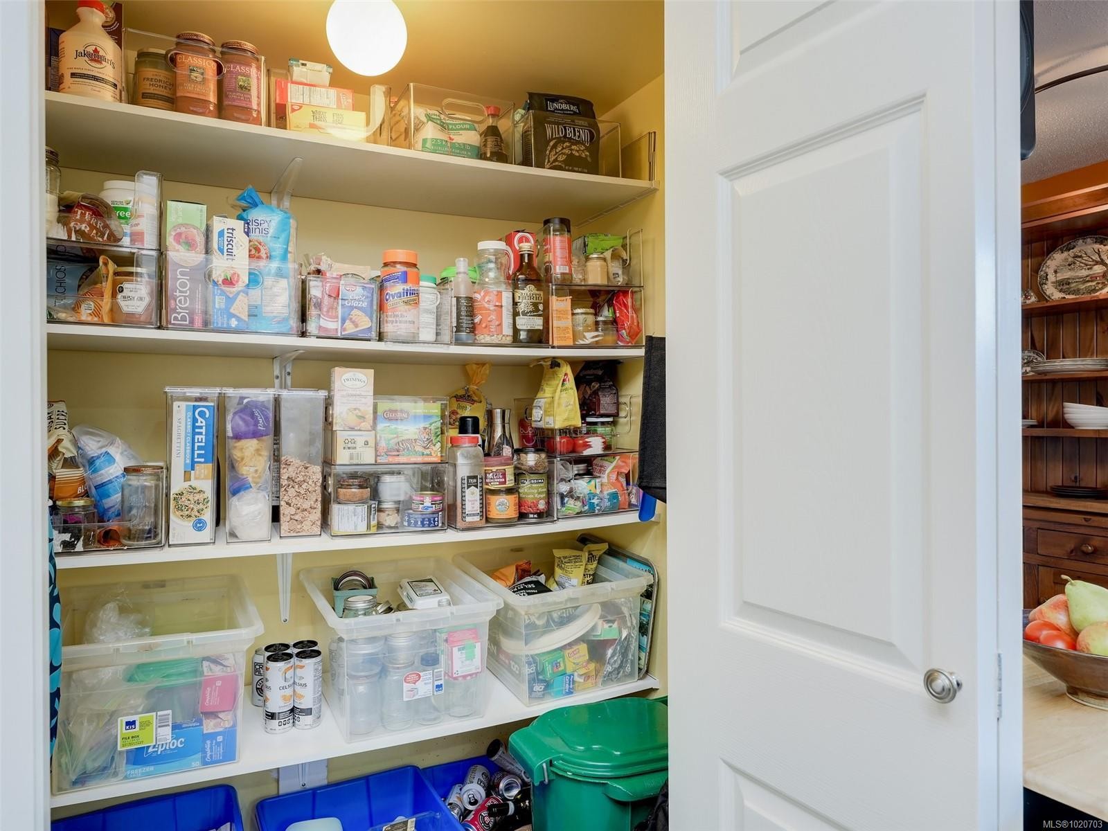 1152 Chapman St, Victoria, BC