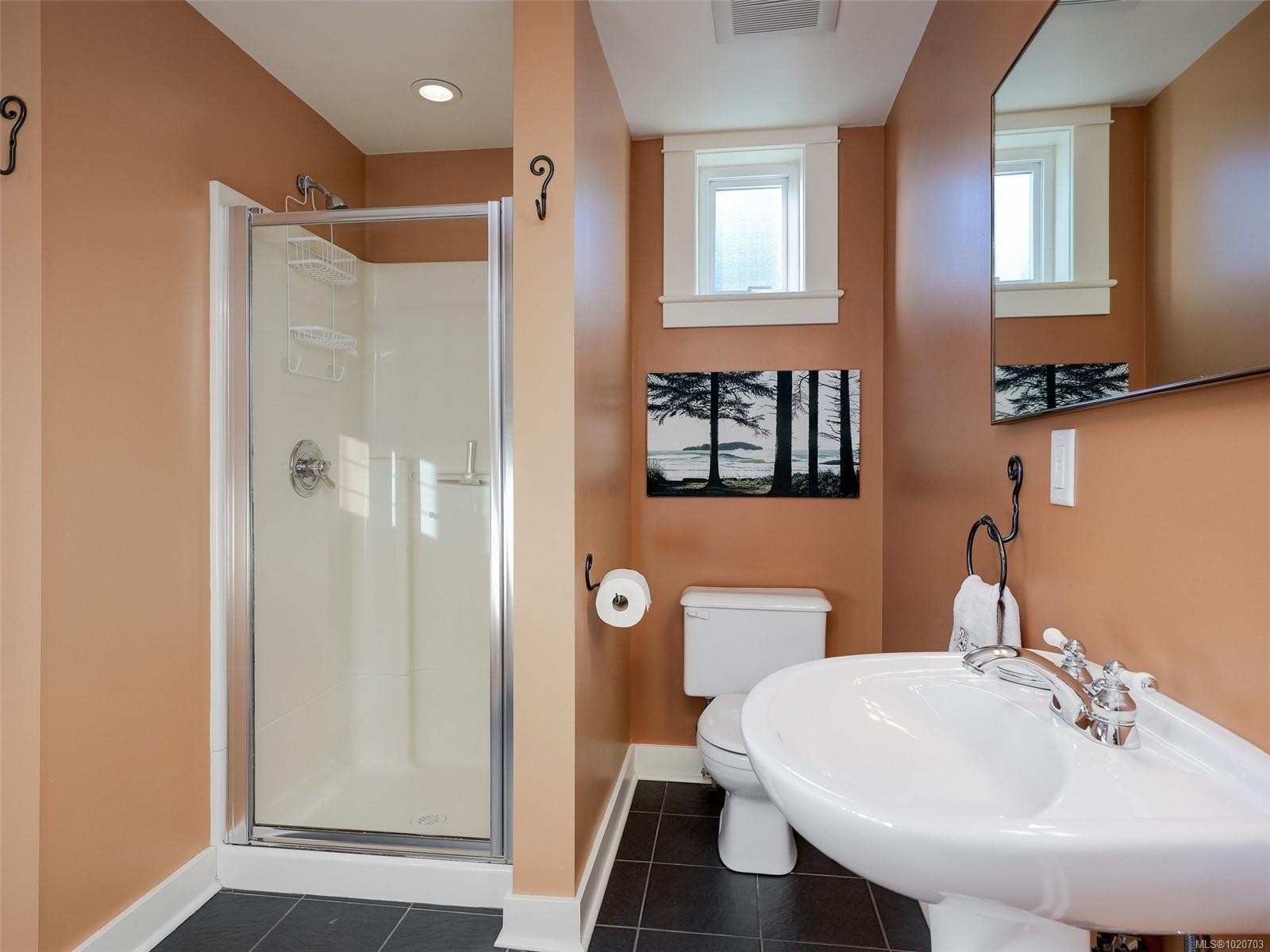 1152 Chapman St, Victoria, BC