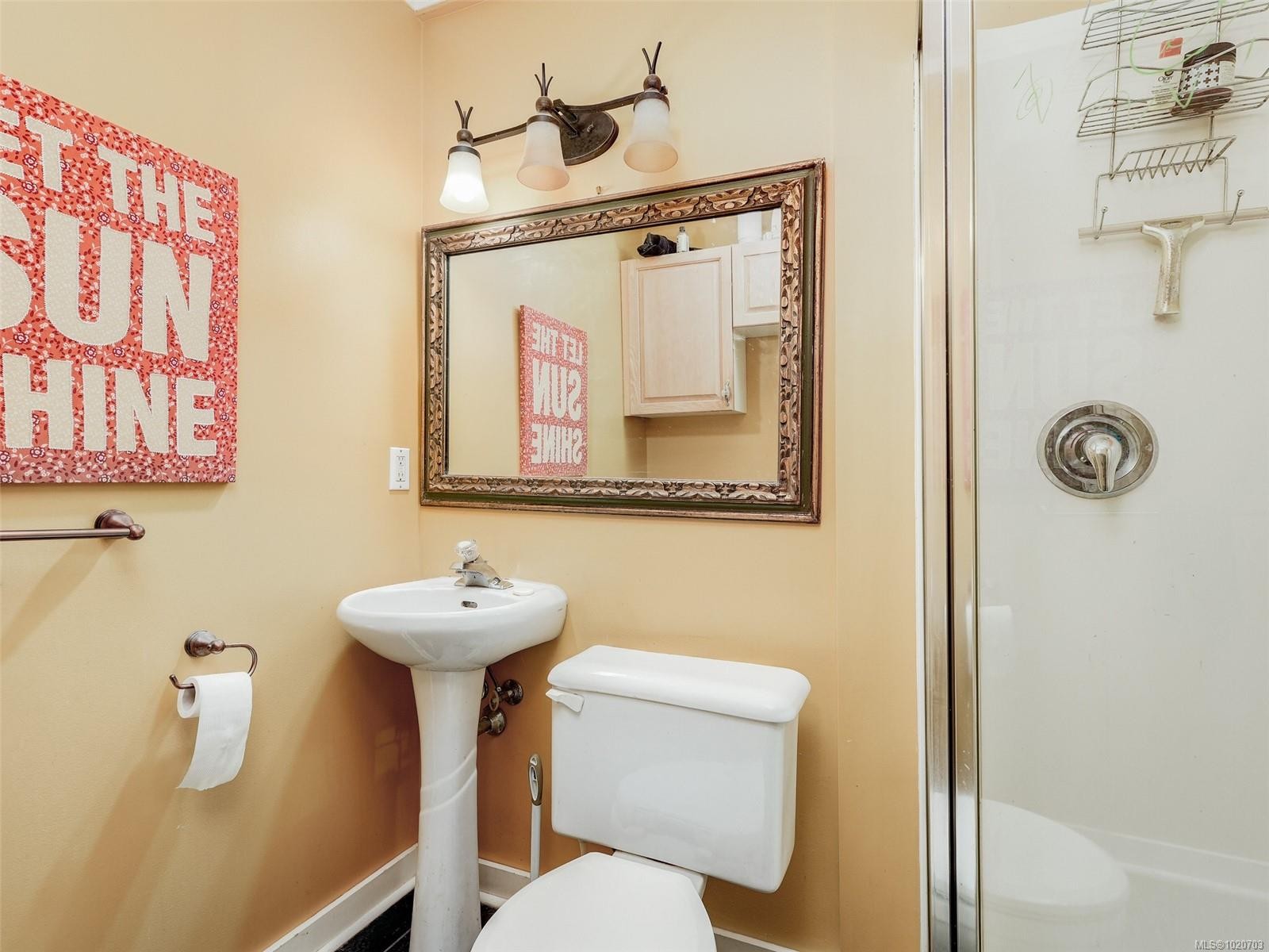 1152 Chapman St, Victoria, BC