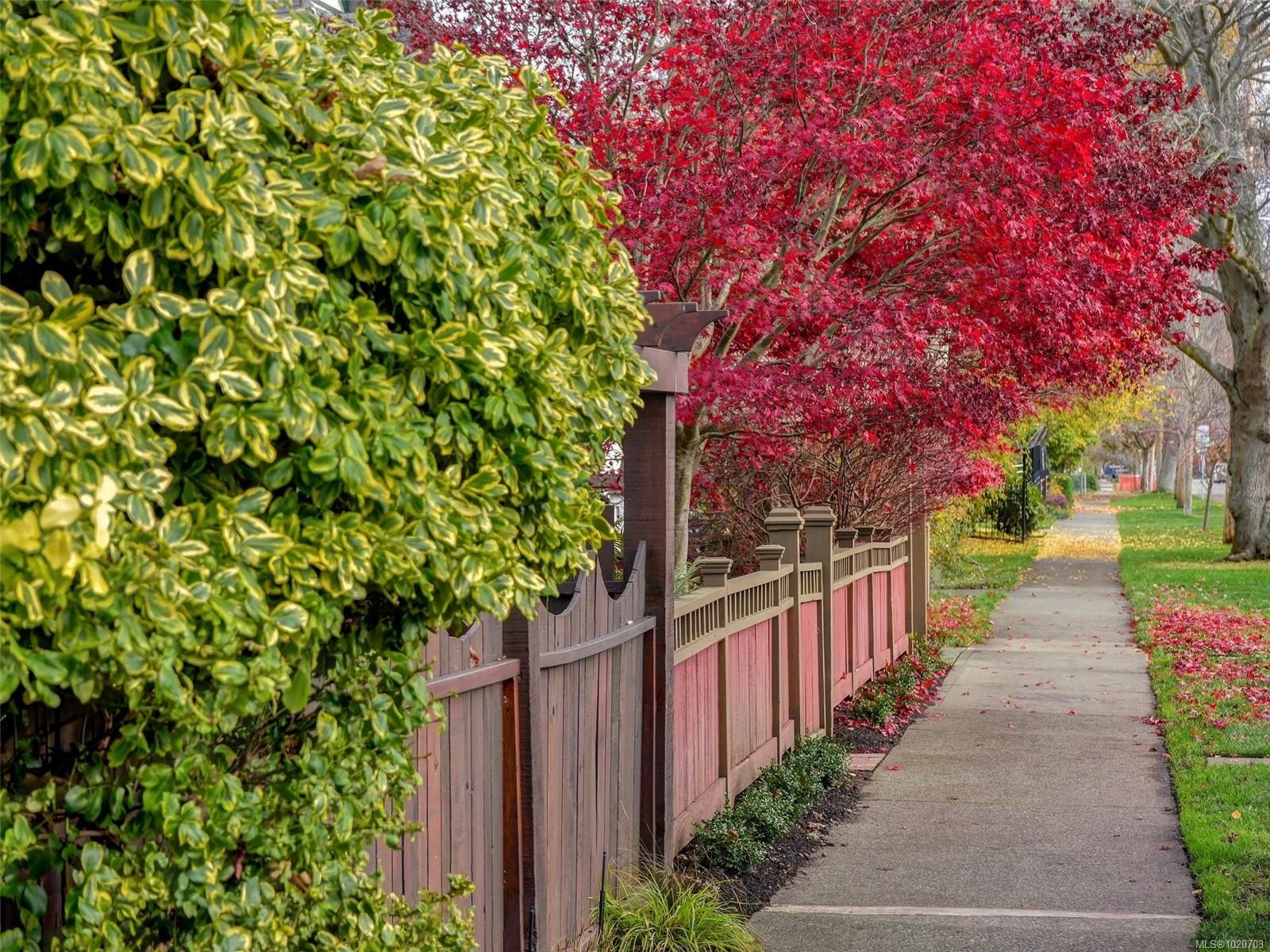 1152 Chapman St, Victoria, BC