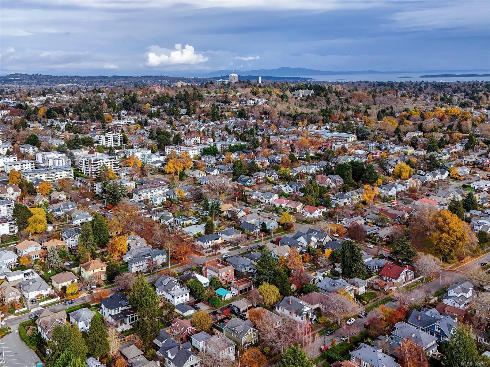 1152 Chapman St, Victoria, BC