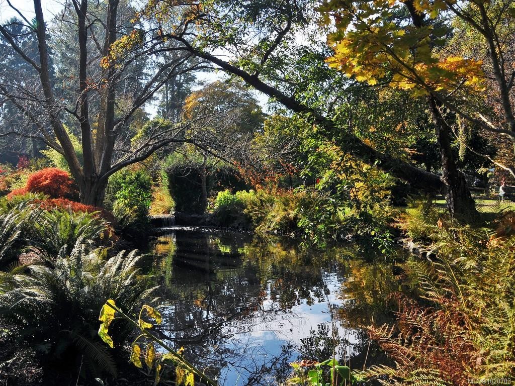 1152 Chapman St, Victoria, BC