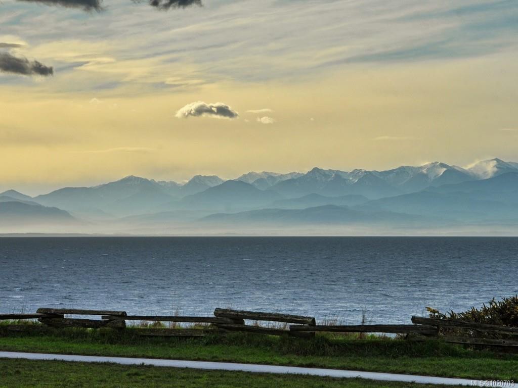 1152 Chapman St, Victoria, BC