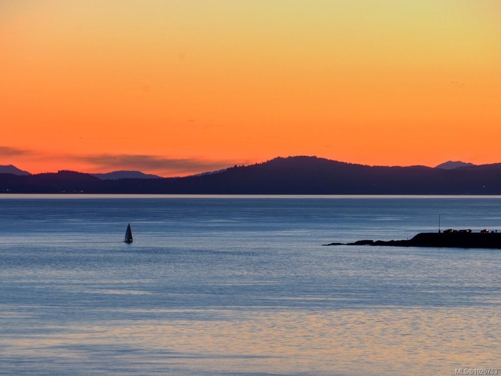 1152 Chapman St, Victoria, BC