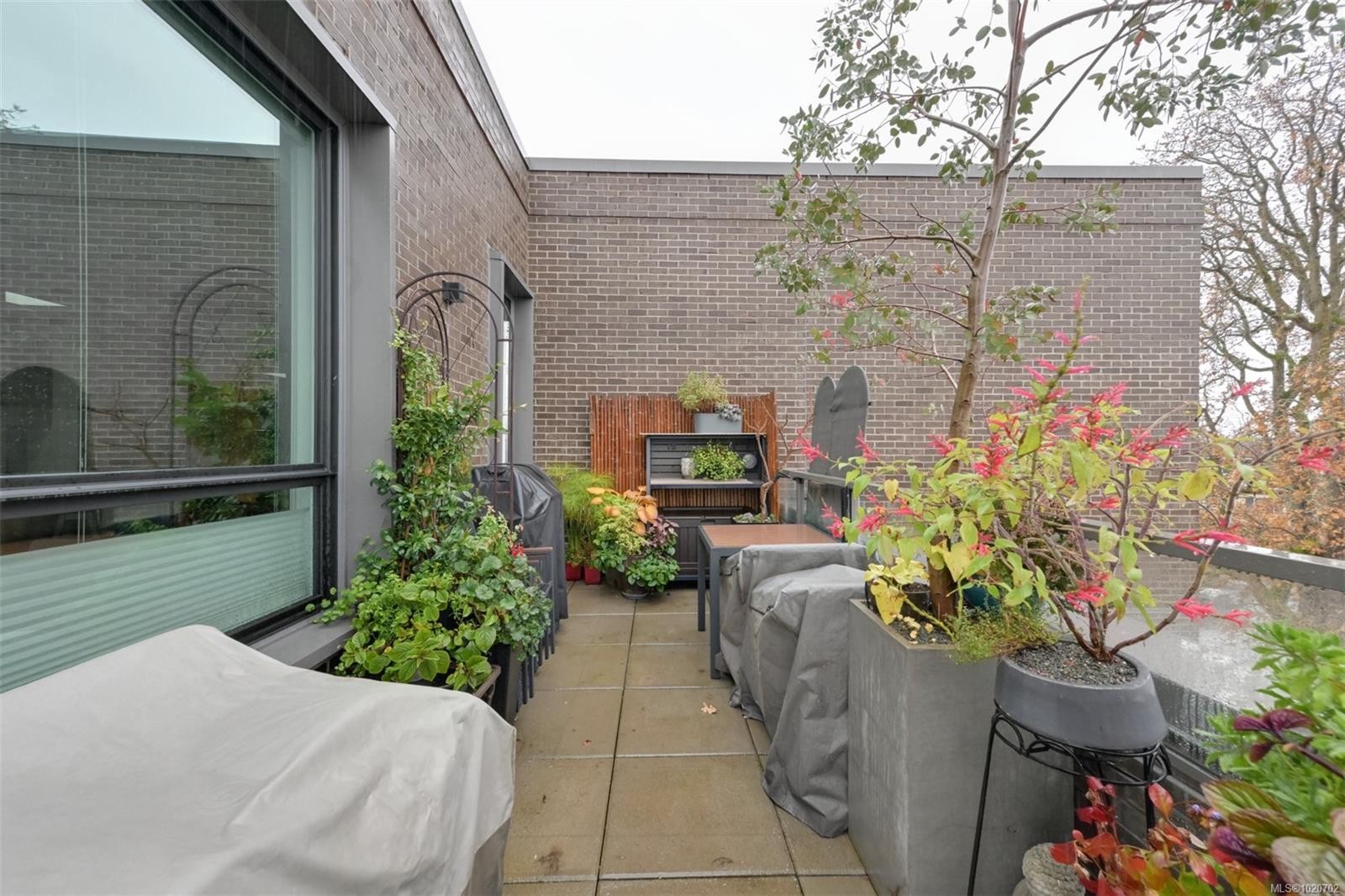 Ph5-2285 Bowker Ave, Oak Bay, BC - Outdoor With Exterior