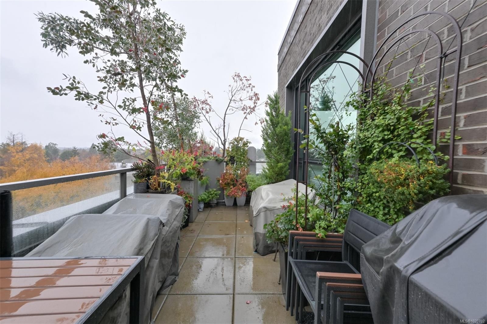 Ph5-2285 Bowker Ave, Oak Bay, BC - Outdoor