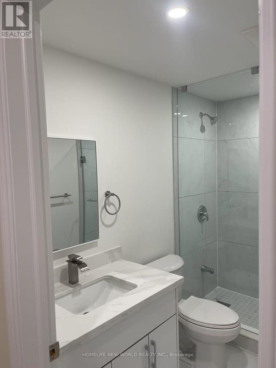(Lower) - 356 Coachwhip Trail, Newmarket, ON - Indoor Photo Showing Bathroom