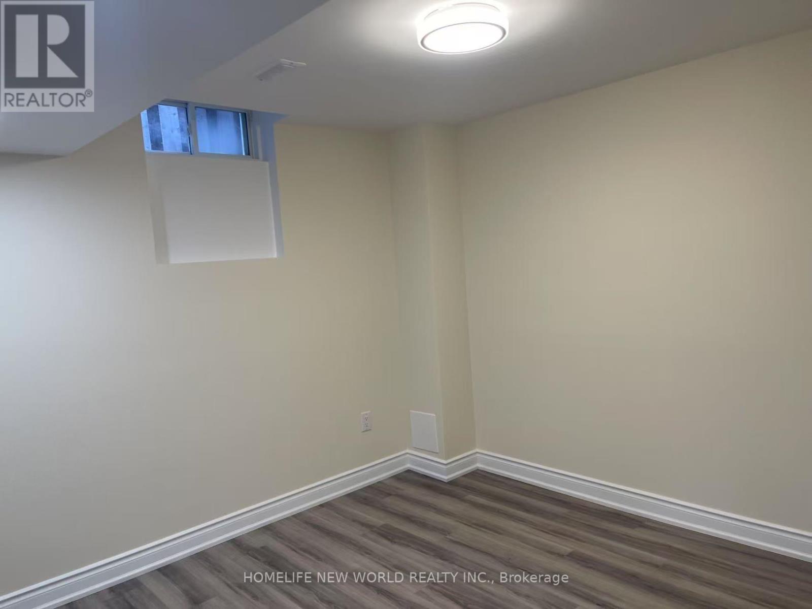 (Lower) - 356 Coachwhip Trail, Newmarket, ON - Indoor Photo Showing Other Room