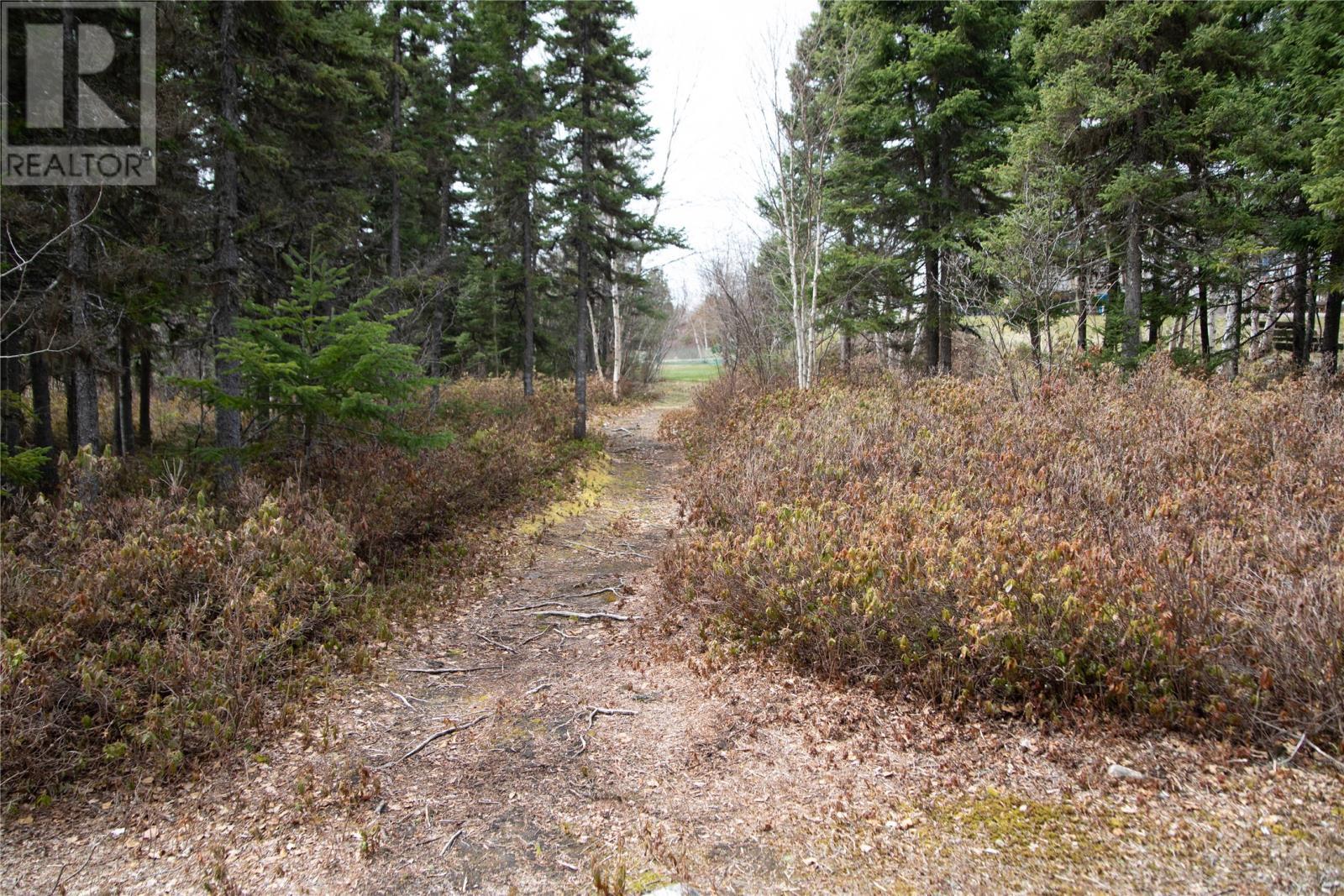 24 Alexander Crescent, Glovertown, NL - Outdoor With View