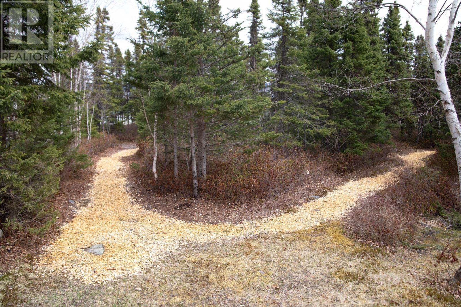 24 Alexander Crescent, Glovertown, NL - Outdoor With View