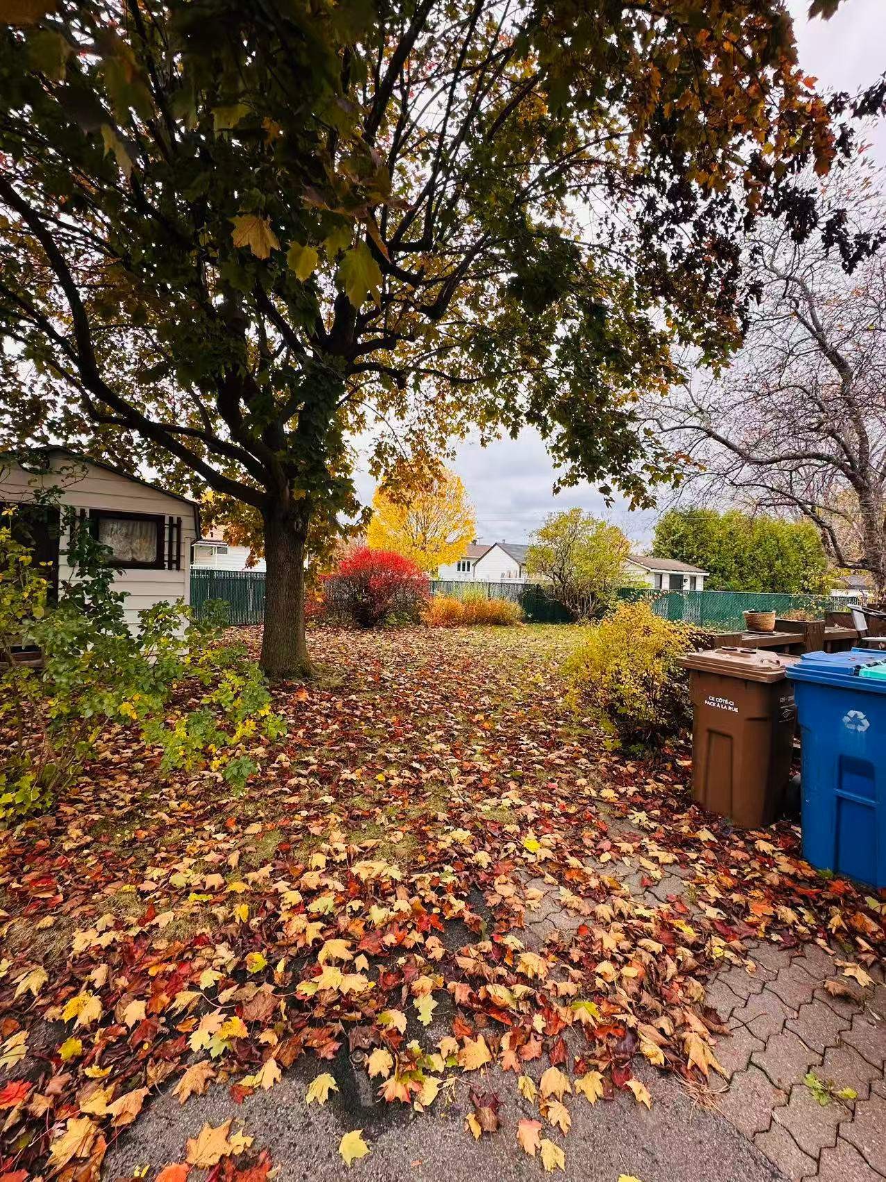Courtyard - 35 Rue Des Chrysanthèmes, La Prairie, QC - Outdoor